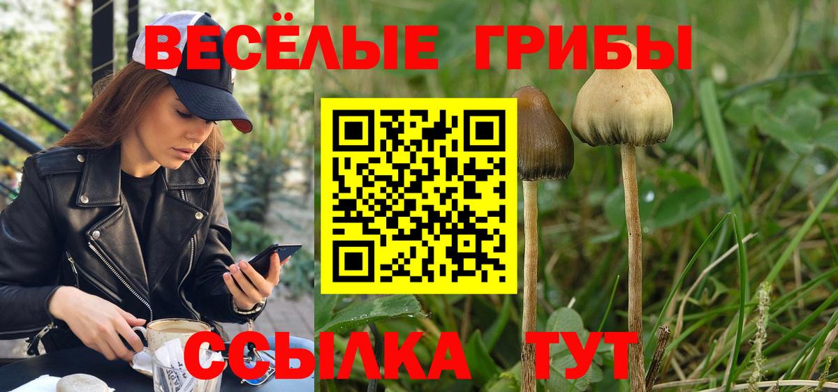 Галлюциногенные грибы мицелий Железноводск