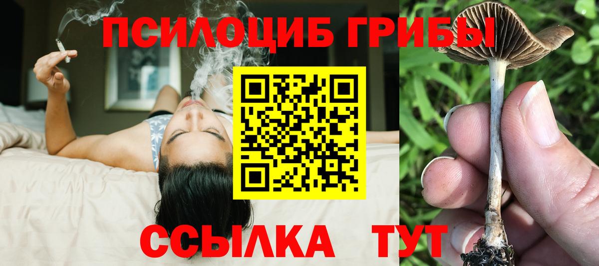 Псилоцибиновые грибы MAGIC MUSHROOMS  Вход с VPN  Железноводск  Галлюциногенные грибы прущие грибы 